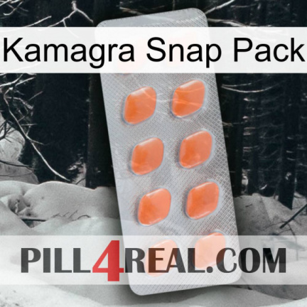Kamagra Snap Pack 26